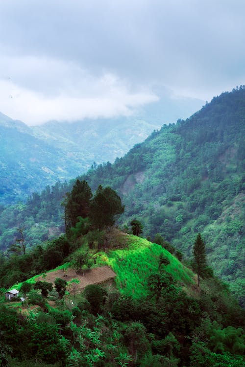 Gratis stockfoto met bergen, jamaica, landschap Stockfoto