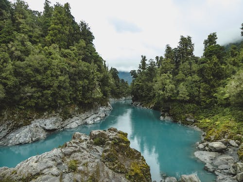 gratis Uitzicht Op De Rivier Stockfoto