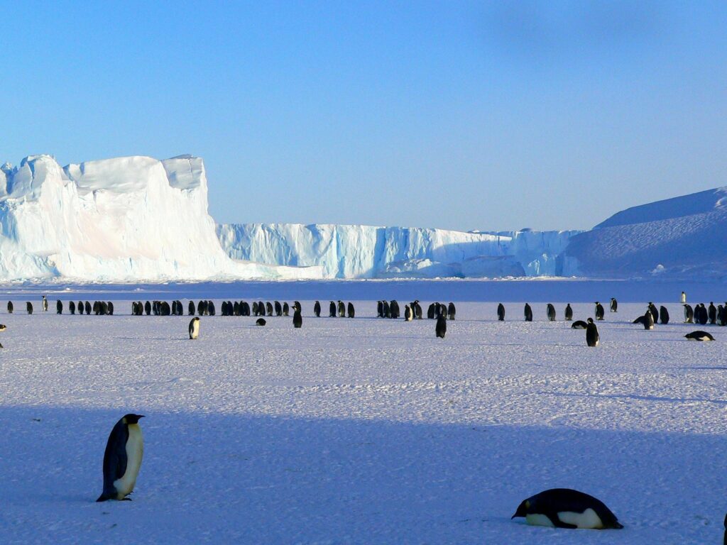 Leuke plekken om te bezoeken in Antarctica.